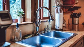 A kitchen with a double sink, a faucet, a potted plant, a bottle of hand soap, and a towel dispenser. - Romantic Cabin | Private Stay | King Bed | Fire Pit (Rockbridge)