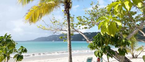 Serviettes de plage