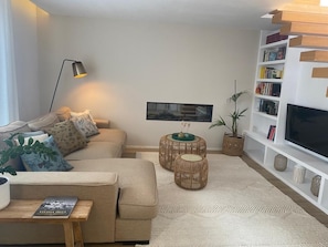 Smart TV, fireplace, books