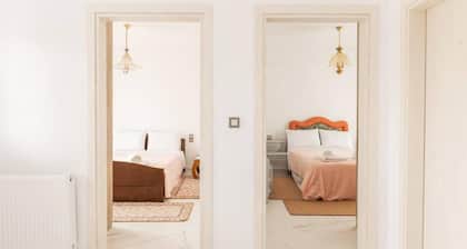 Vista de Montana Meteora II