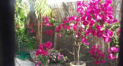 Summer Beach House Spiaggia