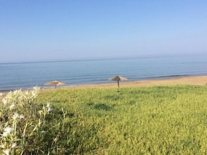 Una playa con un primer plano de hierba y una vista despejada del océano.