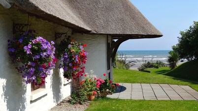 Thatcher's Rest Cottage
Winner 'Best beach holiday rental in Europe'.