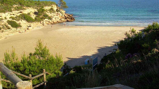 Una playa con valla de madera, acantilados rocosos y una vista despejada del mar.