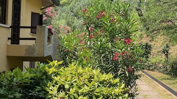 Jardines del alojamiento