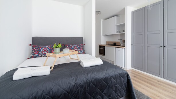Een moderne slaapkamer met een groot bed, een nachtkastje met een plant erop, en een kleine kitchenette op de achtergrond.