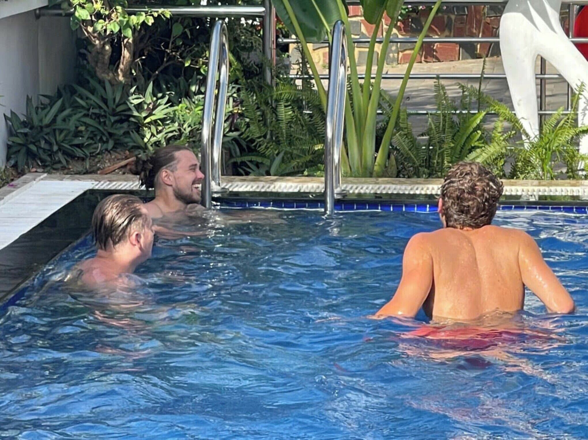 A swimming pool with a metal ladder and surrounding greenery.