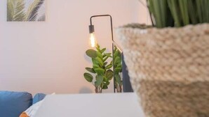 Una stanza con un divano bianco, un cesto di vimini, una piccola pianta e un punto luce a parete.
