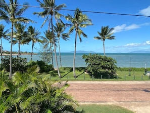 A coastal view with palm trees, a clear sky, and a body of water.