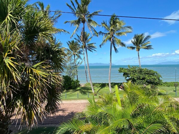 Paisaje tropical con palmeras y vista al océano.