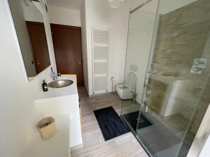 A bathroom with a glass shower enclosure, a toilet, a sink, and a mirror.