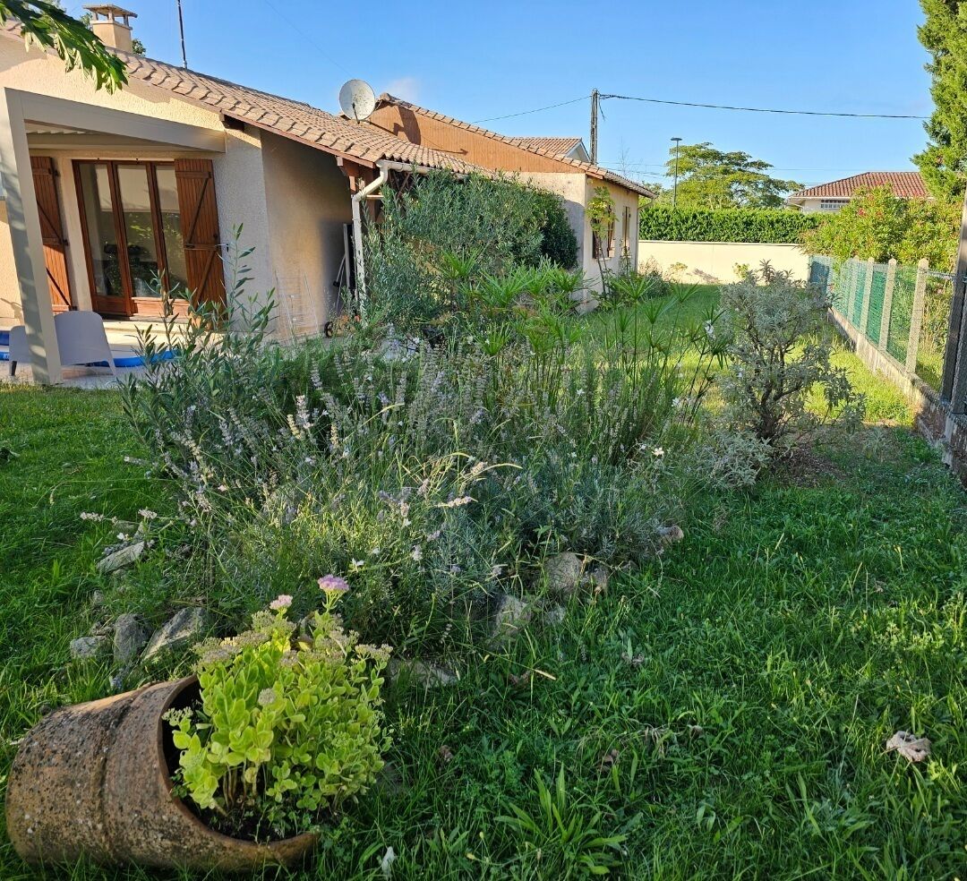 A house with a tiled roof, a satellite dish, and a garden with various plants and a potted plant.