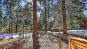 A wooden deck with a bench, surrounded by tall pine trees and a building in the background. - An unforgettable escape to Lake Tahoe (MC250) (Incline Village)