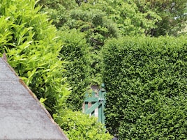 Área da propriedade