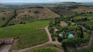 Un vigneto con file di viti, una casa con piscina e dolci colline sullo sfondo.
