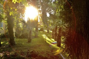 Jardin