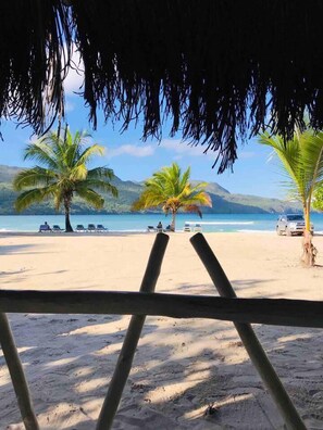 Beach - Piece of Paradise in Las Terrenas (Las Terrenas)