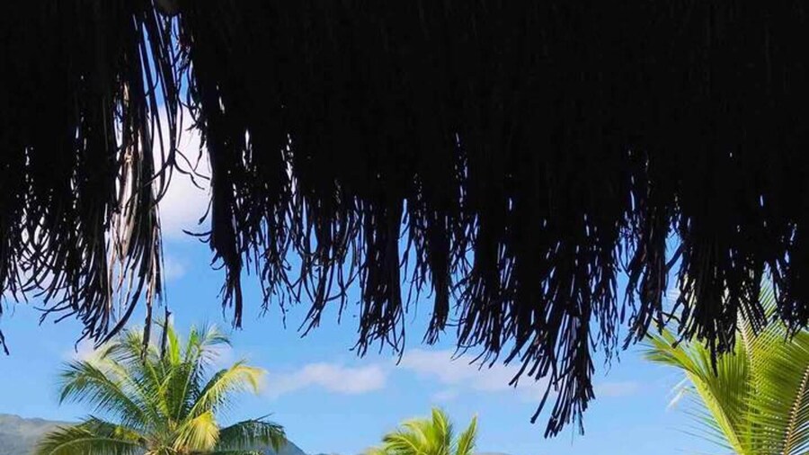 Piece of Paradise in Las Terrenas