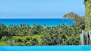 Una piscina con vista al océano y vegetación tropical.