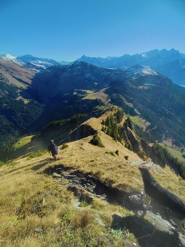 Hiking