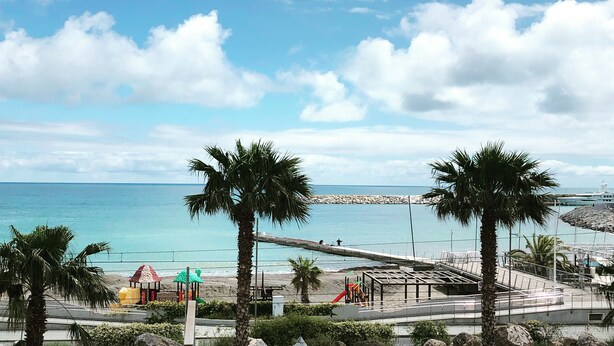 A coastal view with a clear sky, palm trees, and a beach area with a pier.