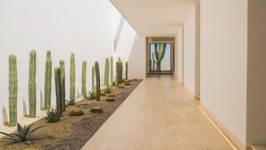 A corridor with a row of cacti and agave plants, leading to a glass door.