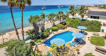 Bonaire Oceanfront 1-bedroom apartment with private terrace and a swimming pool and dive shop onsite.