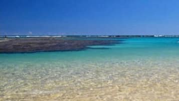 Na praia, areia branca, 15 bares na praia