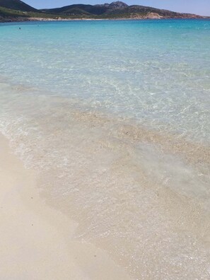 Beach - 2 DOUBLE BEDS, MINI FRIDGE, COFFEE MACHINE, MICROWAVE OVEN, TABLE. (Poggio dei Pini)