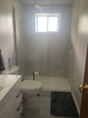 Shower, hair dryer, towels, toilet paper