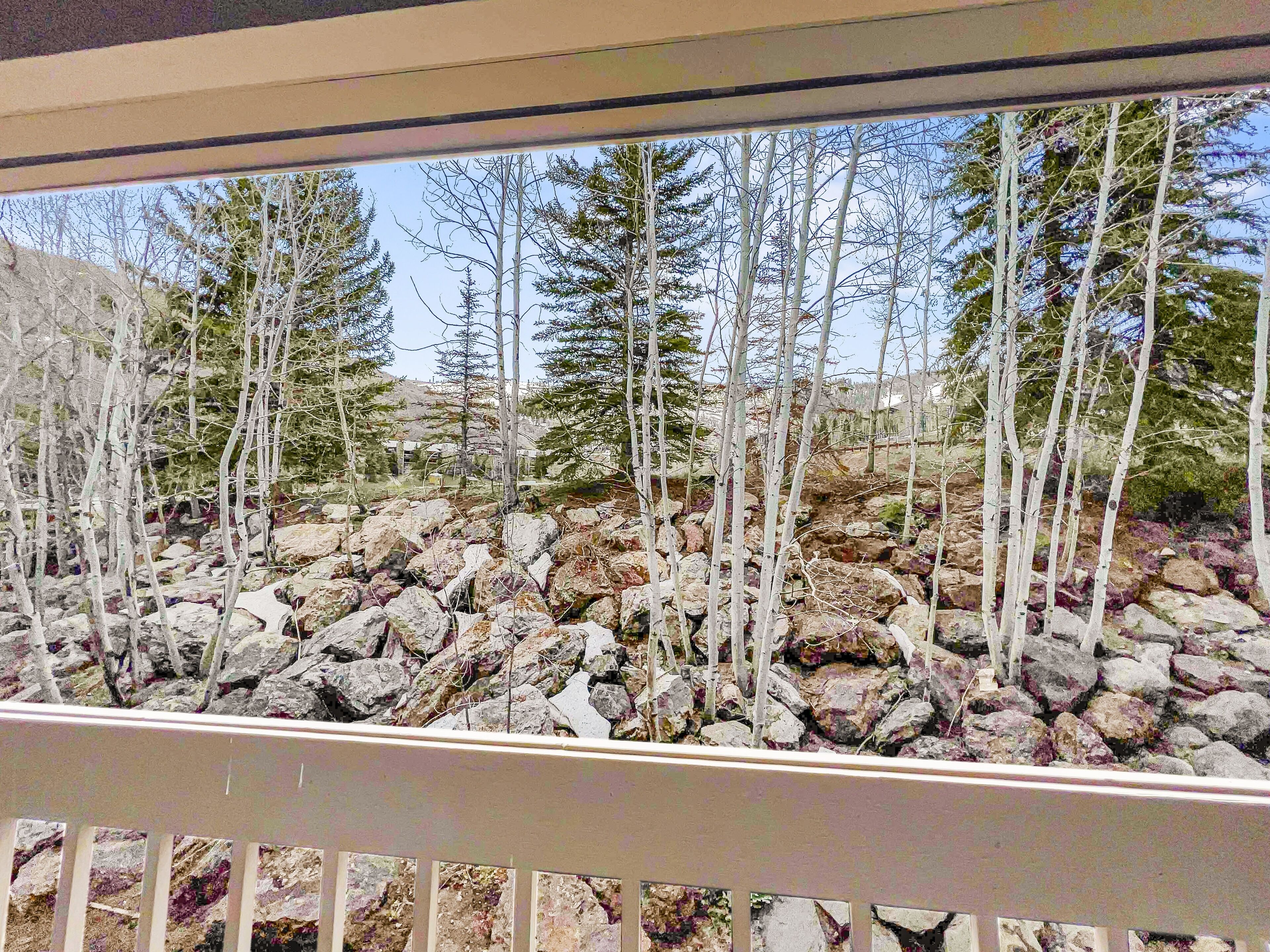 公寓客房, 3 間臥室 | 住宿景觀