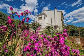 Un edificio blanco con balcón y escalera, rodeado de vegetación exuberante y flores rosadas vibrantes.