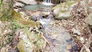 Un cadre naturel en plein air, avec une petite cascade, entouré d’arbres et de rochers.