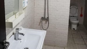 Un baño con lavamanos blanco, un espejo, ducha con cabezal de ducha manual y un inodoro.