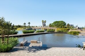 Stroll along the riverside walkway, lined with interlocking bricks and benches, and take in the serene views of the calm river surrounded by lush greenery and palm trees.