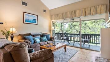 TV, fireplace, DVD player