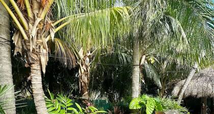 Palm - Beach Houses Key West