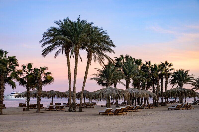 A beach with palm trees, lounge chairs, and thatched umbrellas.