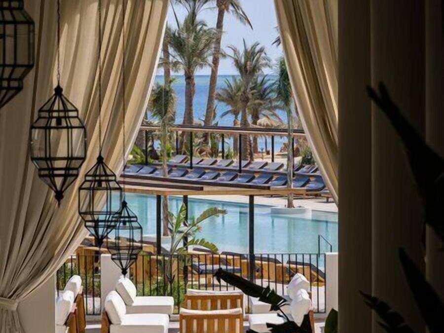 A poolside area with sun loungers and a view of the pool and palm trees.