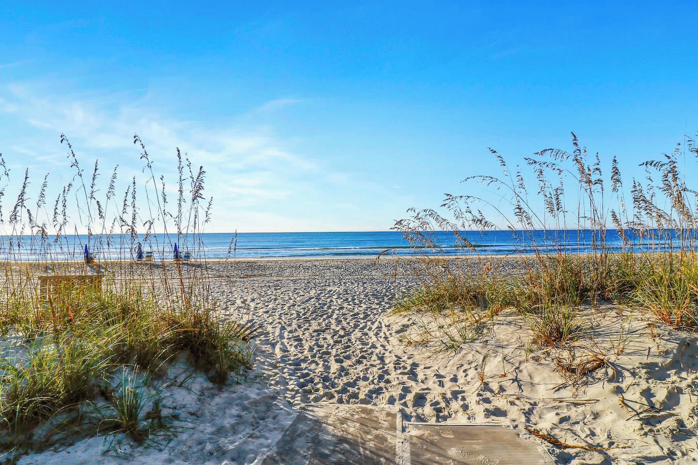 Une plage de sable, avec des algues et un ciel dégagé.
