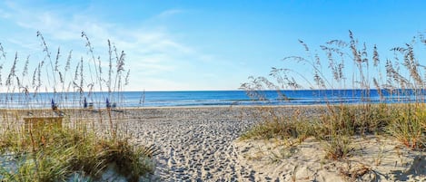 A beach with sand, seaweed, and a clear sky.