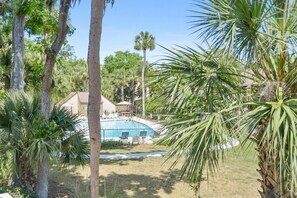 A residential area with a swimming pool, surrounded by palm trees and a house in the background.