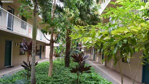 A courtyard with a central garden, surrounded by buildings with balconies and windows. - Ocean View Sleeps 8 Across from Beach 3 bedroom 3 bathroom Full AC Kihei Condo  (Kihei)