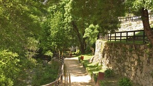 Un sendero pavimentado bordeado por abundante vegetación y un muro de piedra, que conduce a una cerca de madera.