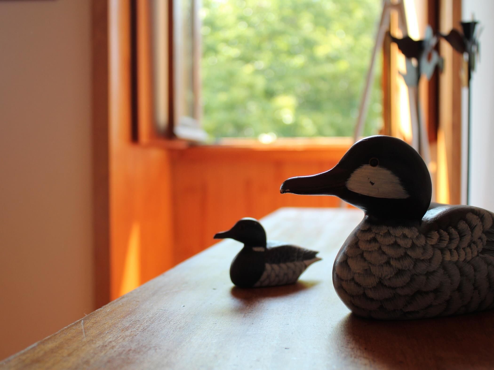 Deux sculptures de canards en bois sont posées sur une table en bois, près d’une fenêtre dont les murs sont peints en orange.