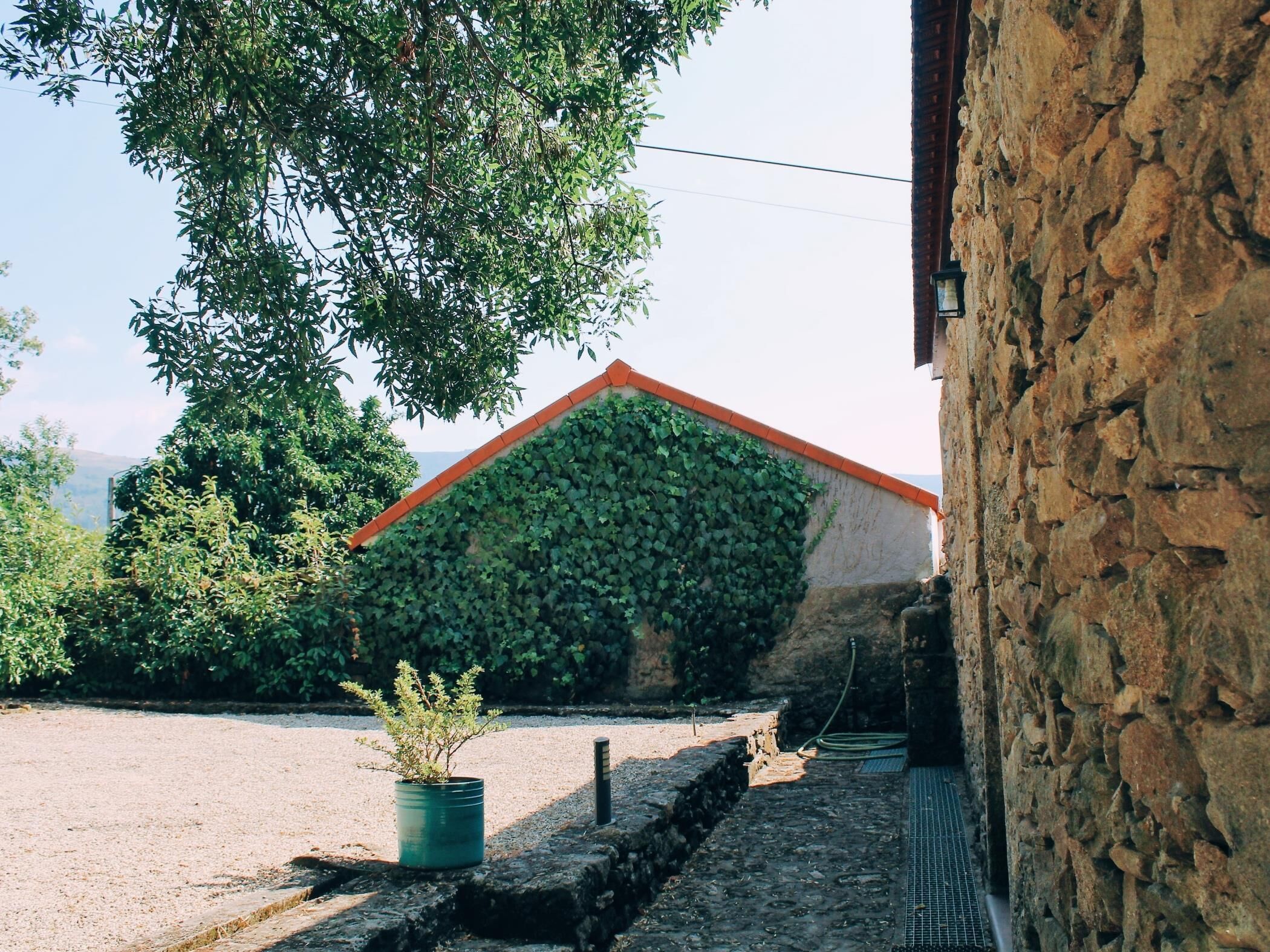 A stone building with a sloped roof covered in ivy, a gravel path, and a potted plant.