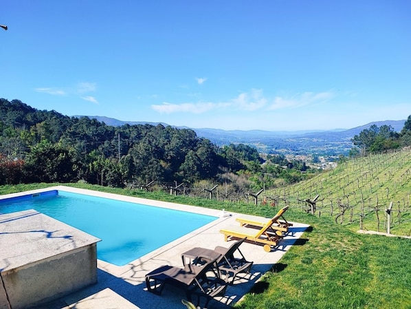 A swimming pool with lounge chairs, surrounded by a grassy area and vineyard.