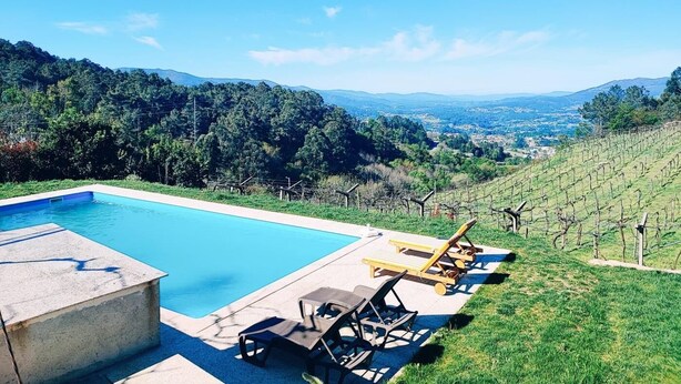 A swimming pool with lounge chairs and a vineyard in the background.