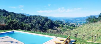 Cabreiros de Baixo House | Alvarinho Vineyard | Rural Nature
