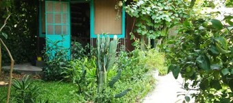 Great Experience, Warm Home